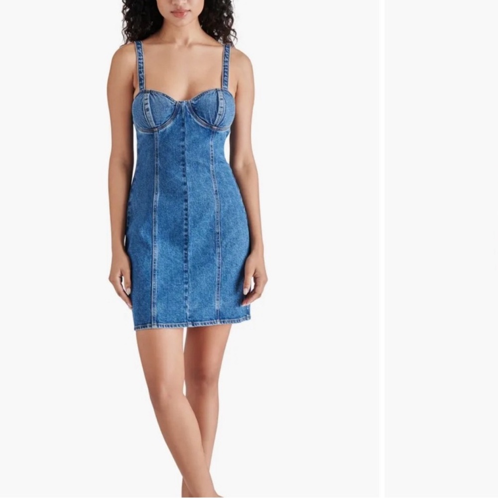 Steve Madden Denim Corset Mini Dress